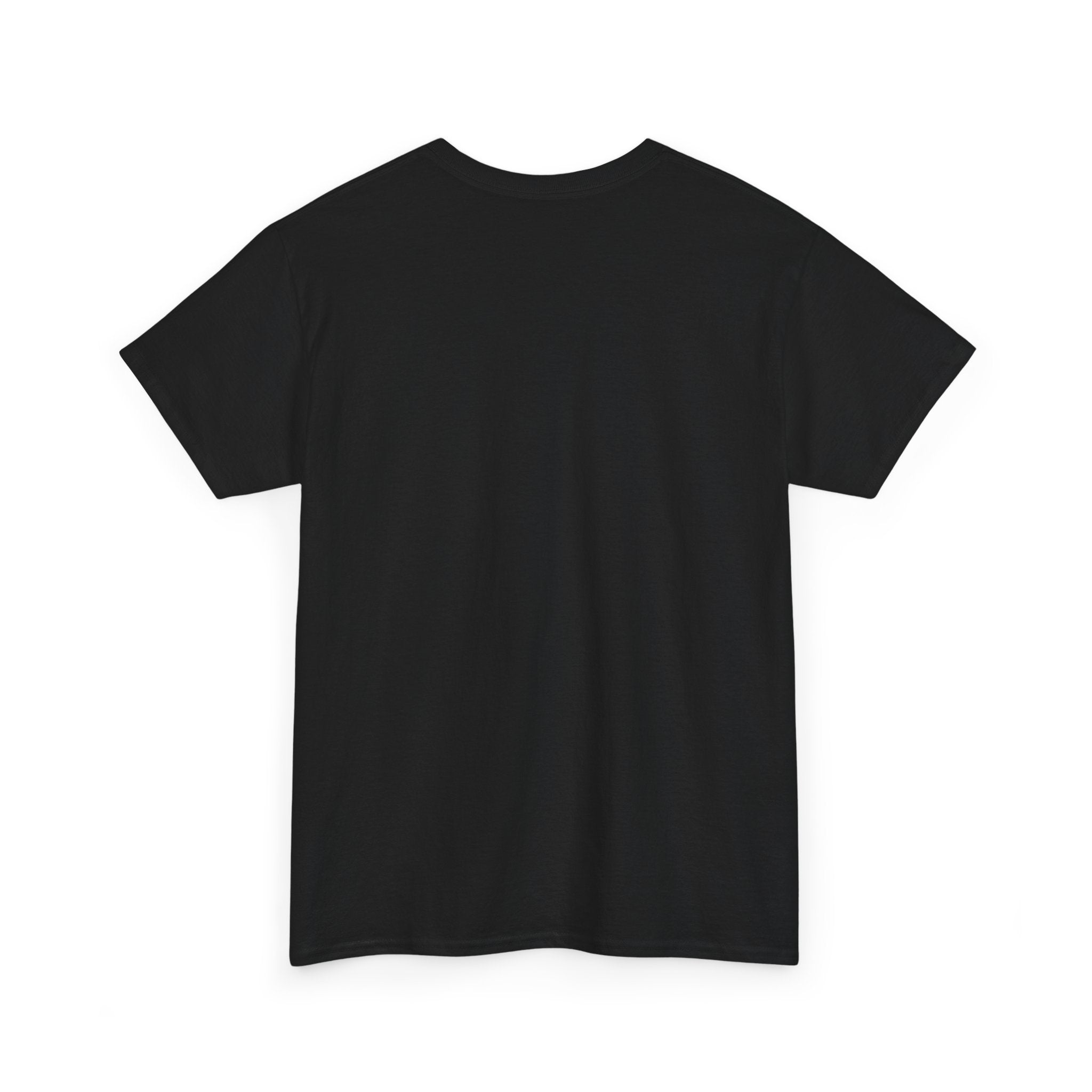 Back view of a plain black unisex short sleeve cotton t-shirt on white background