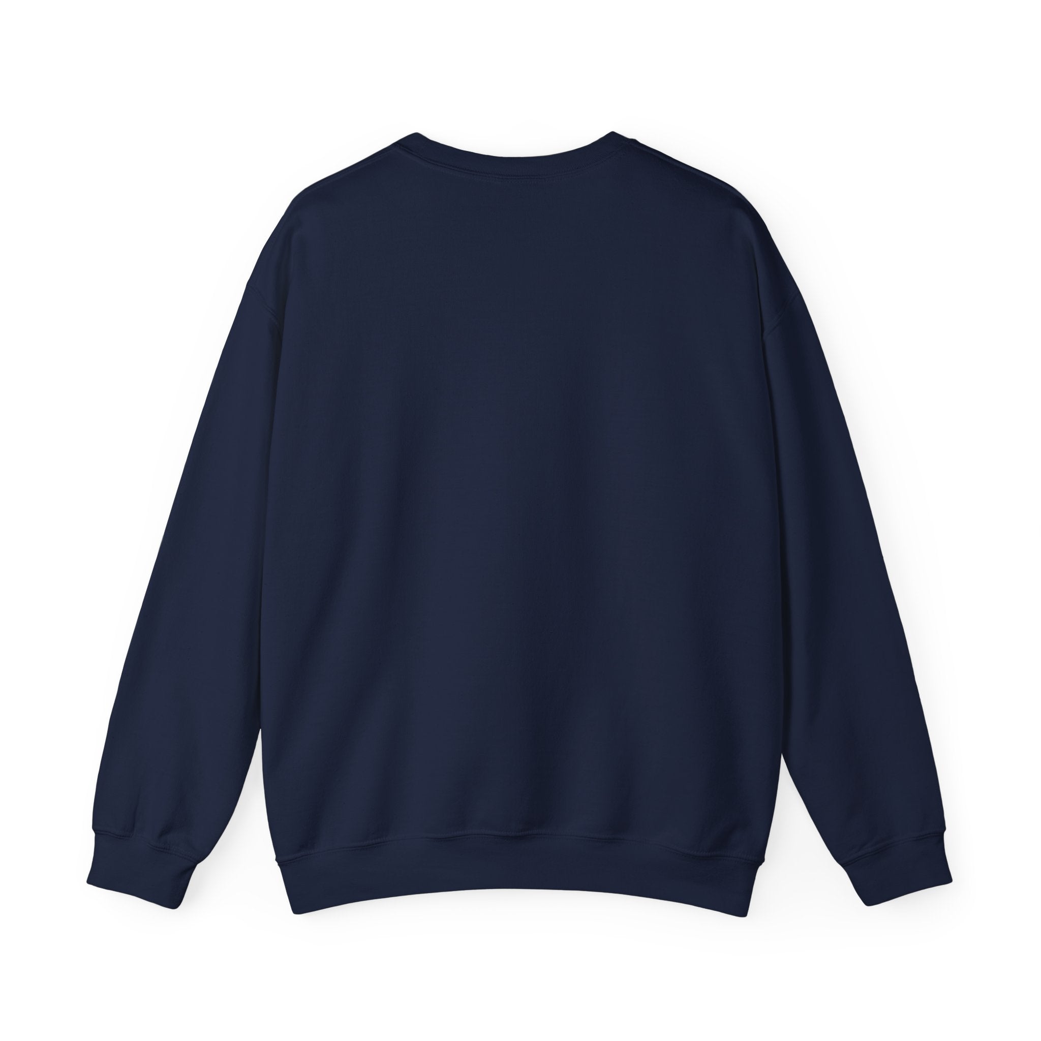 Back view of plain navy blue crewneck sweatshirt, long sleeves, casual clothing