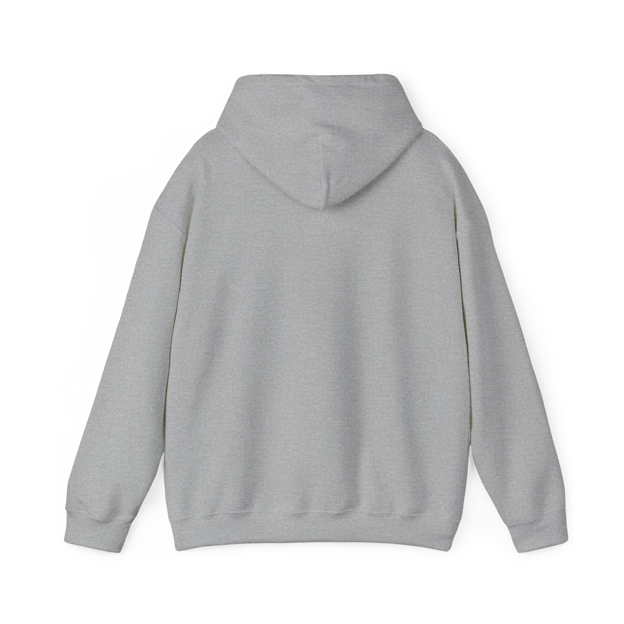 Plain gray hooded sweatshirt back view on white background, casual loungewear hoodie