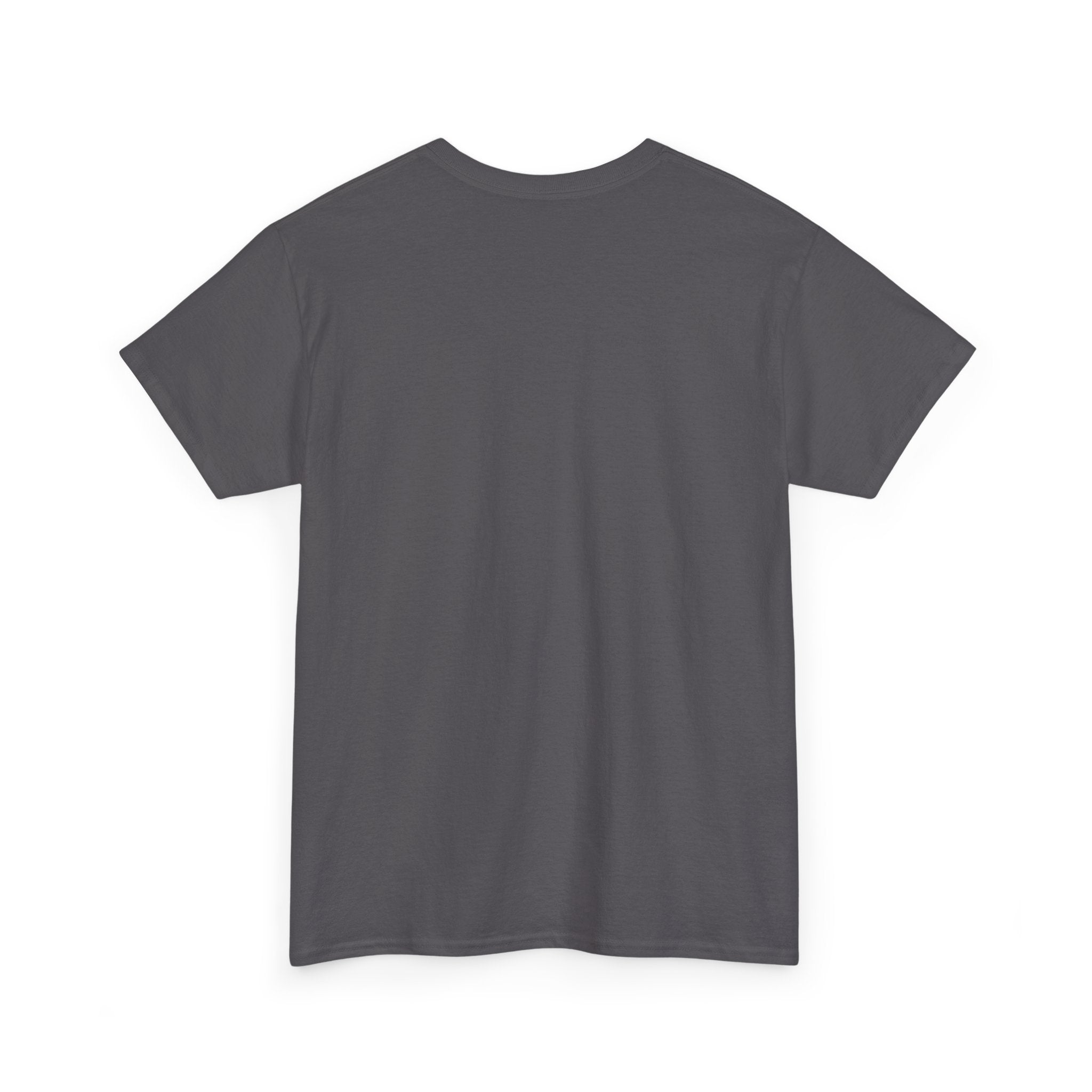 Plain dark gray short sleeve t-shirt, back view, minimalist casual clothing