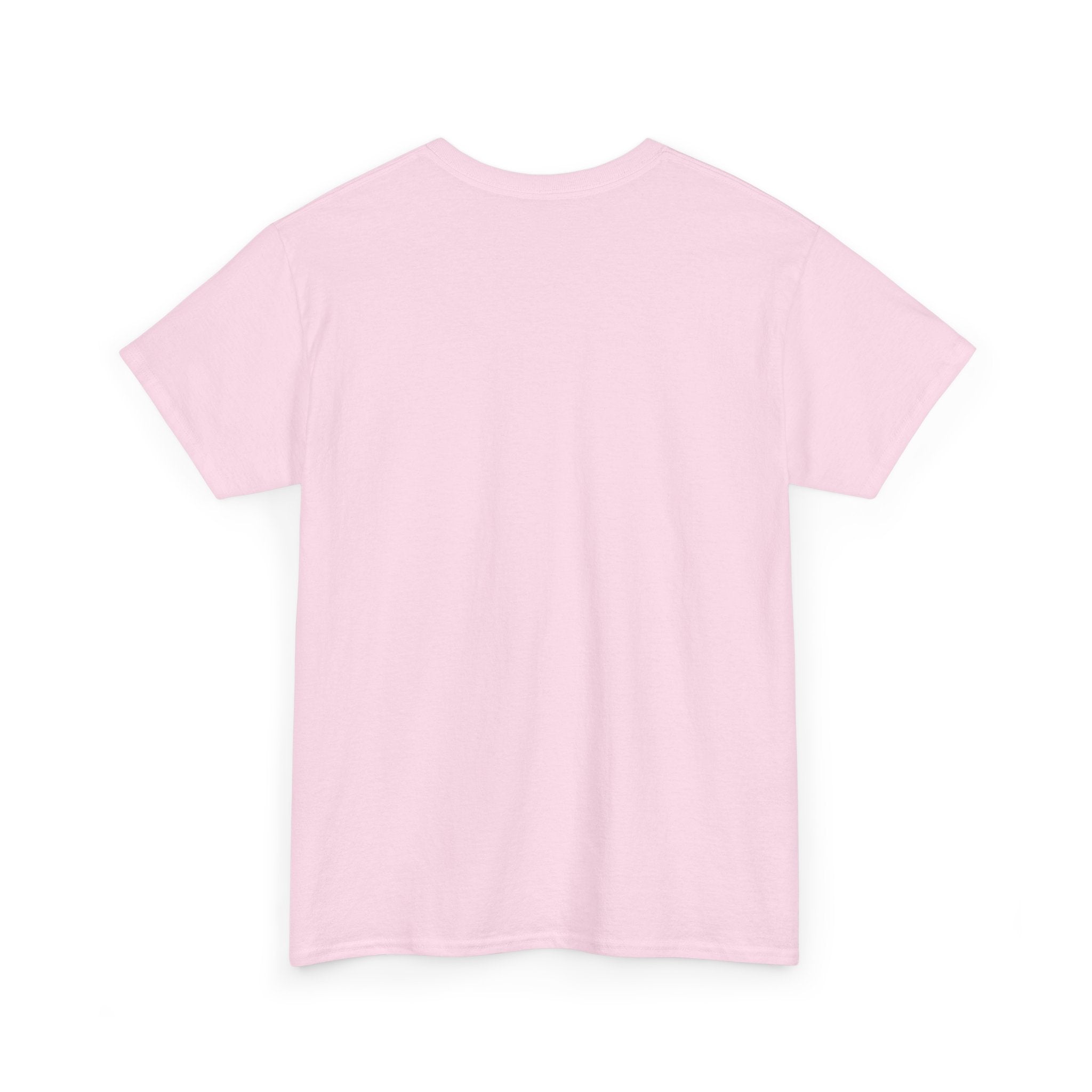 Back view of a plain light pink short sleeve t-shirt on white background