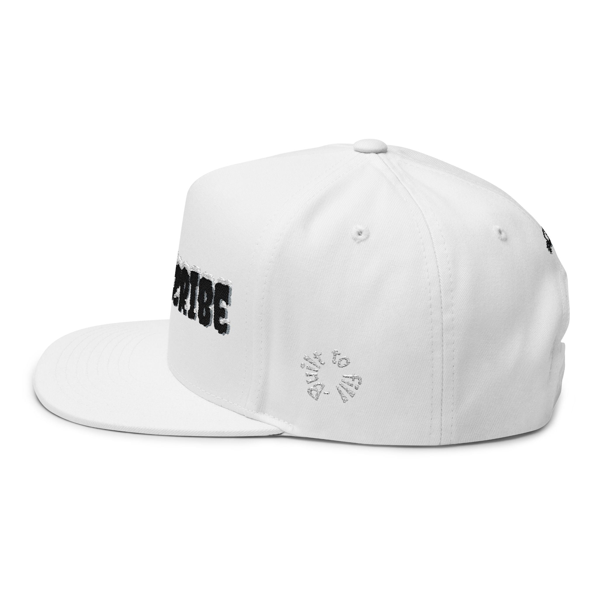 Embroidered 'Subscribe' Red TV Patch Flat Bill Cap